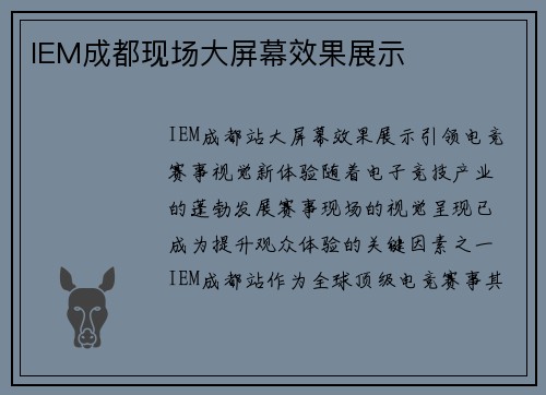 IEM成都现场大屏幕效果展示