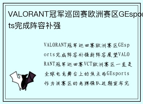 VALORANT冠军巡回赛欧洲赛区GEsports完成阵容补强