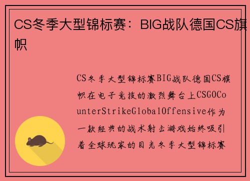 CS冬季大型锦标赛：BIG战队德国CS旗帜